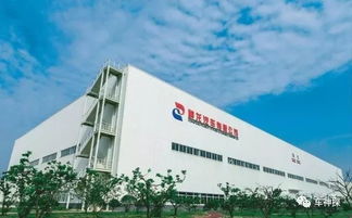 为什么都说马自达、标致和雪铁龙是好车，但销量却不佳？日用品销售的启示